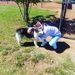 ShannonHailey - @shannonhailey.13 - Instagram