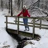 Shannon Harding - @shannon_harding3 - TikTok