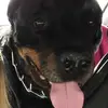 shannonhare021220 - @shannonhare021220 - TikTok
