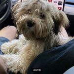 Shannon Swanson Hoversten - @shannonhoversten - Instagram