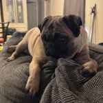 Shannon Huffman - @shannonelliott52 - Instagram