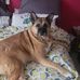 Shannon Hyde - Facebook