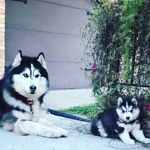 Shannon Ingle - @shannon.ingle2006 - Instagram