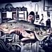 Shannon Ingles - Facebook