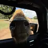jarrett.shannon - @jarrett.shannon - TikTok