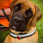 Shannon Slattery-Jester - @shannonslatteryjester - Instagram