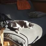 Shannon Ketcham - @ketcham.shannon - Instagram