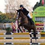 Shannon Knott🇿🇦 - @sjk_equestrian_ - Instagram