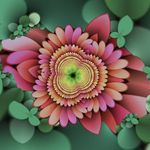 Shannon Koch - @shannonk3313 - Instagram