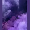 ShannonKoch - @raquechs8g7 - TikTok