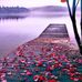Shannon Larson - Facebook