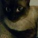 Shannon Larson - Facebook