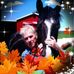 Shannon Larson - Facebook