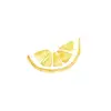 Shannon - @shannonlemons21 - TikTok