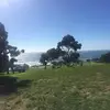 Shannon Lemons - @shannonlemons43 - TikTok