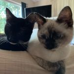 Shannon Libby - @shannonlibby - Instagram