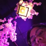 Shannon Lui - @_shannonlui - Instagram