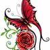 Shannon Luke - Facebook