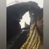 Sha_19 - @shannonmathieux - TikTok