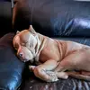 Shannon Maxwell - @shannon.maxwell3 - TikTok