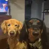 shannonmaxwell2 - @shannonunderwood23 - TikTok