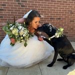 Shannon Mayhew - @countrygirl_andgundogs - Instagram