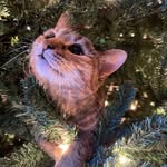 Sam Moeller - @shannonmoeller - Instagram