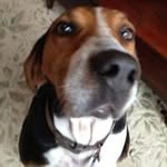 Shannon Moeller - @shannonmoeller21 - Instagram