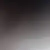 shannonmose - @shannonmose - TikTok