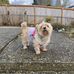 Shannon Mower - Facebook