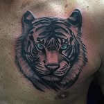 Shannon_tattooist - @shannonmurrell_tattooist - Instagram