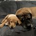 Shannon Nagy - Facebook