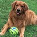 Shannon Nagy-Oconnor - Facebook