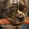 shannonoaks452 - @stewieoaks - TikTok