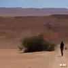 shannonomargaretc - @shannonomargaretc - TikTok