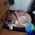 Shannon Myers Overton - Facebook