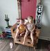 Shannon Overton - Facebook