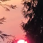 Shannon Paul - @rabidbadger2 - Instagram