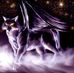 Shannon Plaster - Facebook