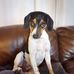 Shannon Prather - Facebook