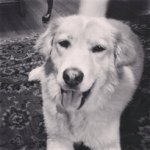 Shannon Putman - @sputman2 - Instagram