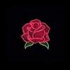 Shannon Rowe - @shannon_rowe_ - TikTok