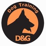 Shannon Rowe - @d.g_training - Instagram