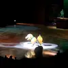 shannonrush166 - @shannonrush166 - TikTok