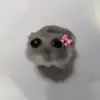 ️ - @shannon.samm - TikTok