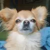 shansam - @shannonsam - TikTok