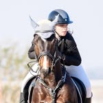 Shan, East and Cash ⭐️ - @shannon_sayers.equestrian - Instagram