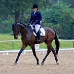 Shannon Sayers - @thecorporate_equestrian - Instagram
