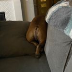 Shannon Schuster - @shannon_schuster74 - Instagram