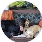 Shannon Schuster Cooper - @coopershannonschuster - Instagram